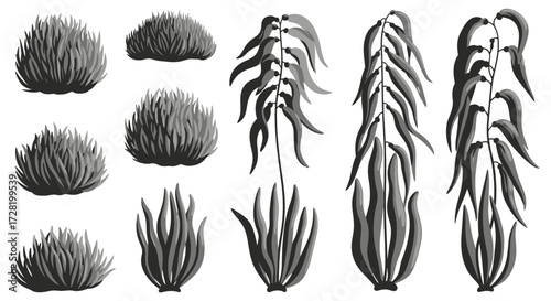 Collection of Various Bush and Plant Illustrations for Design Elements