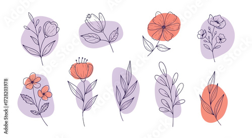 flowers on white background