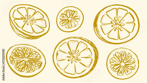 Vibrant golden citrus slices hand-drawn style evoke fresh summer zest and healthy lifestyle vibes for modern design projects.