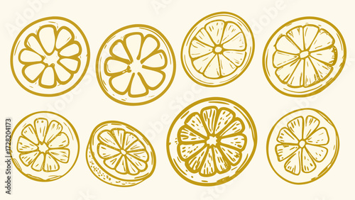 Vibrant citrus slices in a charming hand drawn style perfect for refreshing designs and summer themes