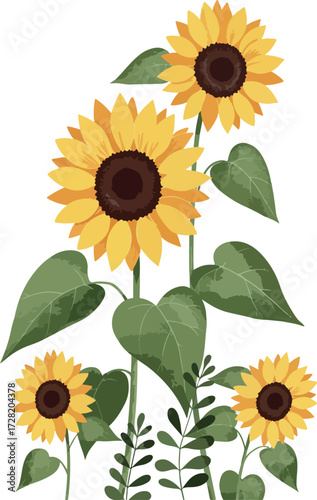 Vibrant sunflowers bloom showcasing natures beauty with bright yellow petals and dark centers.