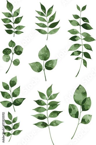Watercolor leaves illustration green foliage botanical elements nature design artistic plant branches.