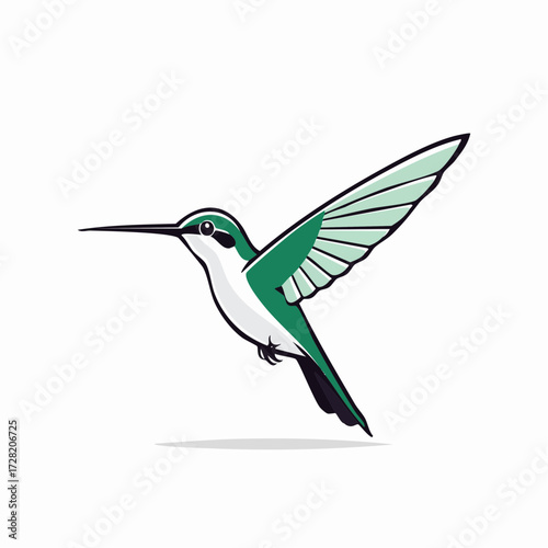 hummingbird vector illustration