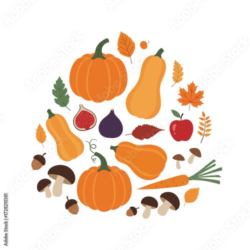 A bountiful arrangement of autumn harvest vegetables and fruits including pumpkins squash apples figs mushrooms and acorns.
