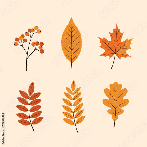 A collection of beautiful autumn leaves in shades of orange and red.