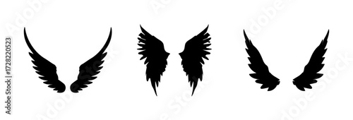 Wings of birds vector icon set. Wing flat black icons.Set of silhouette eagle wings. Illustration art of angel wings set. Wings set for t-shirt elements, coloring page vector.