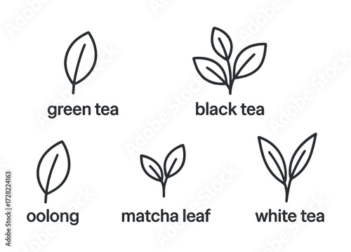 Five types of tea leaves: green, black, oolong, matcha, and white