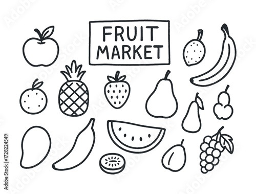 Hand-drawn fruit sketches featuring apple banana pineapple pear grape