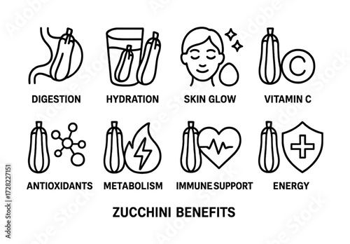 Zucchini benefits: digestion, hydration, skin glow, vitamin c, antioxidants, metabolism, immune support, energy