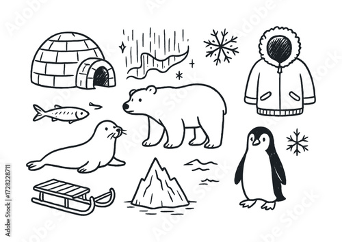 Arctic wildlife and lifestyle: polar bear, seal, penguin, fish, igloo, sled, northern lights