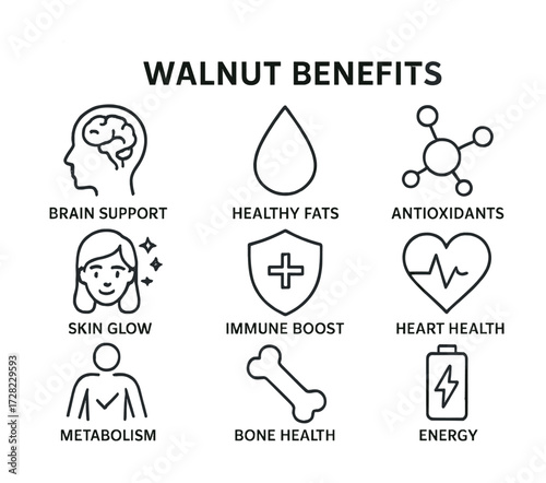 Walnut benefits: brain support, healthy fats, antioxidants, immune and heart health