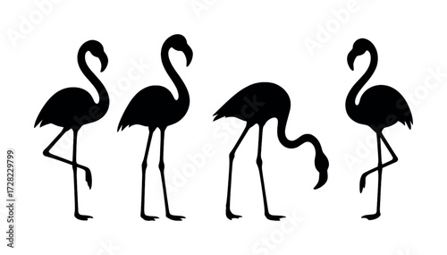 Silhouettes of four flamingos in different poses on white background