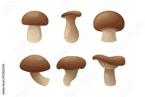 set of mushroom design