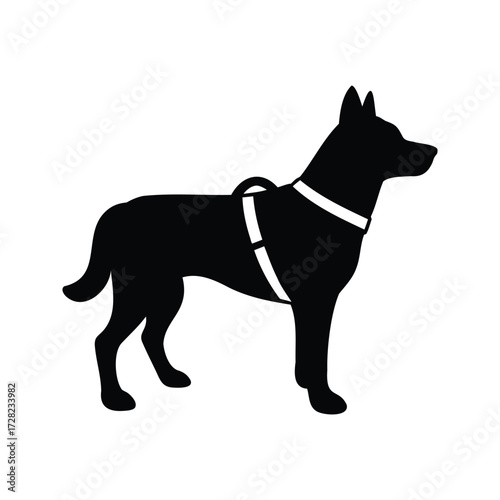 Black silhouette of a harnessed dog standing on a white background, dog wearing harness silhouette vector illustration