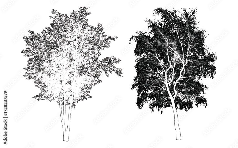Fototapeta premium front View Vector Icons of Trees and Plants for Floor Plan and Architectural Design Projects 