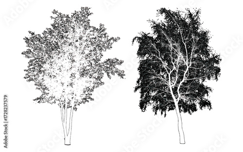 front View Vector Icons of Trees and Plants for Floor Plan and Architectural Design Projects	