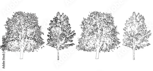 front View Vector Icons of Trees and Plants for Floor Plan and Architectural Design Projects	