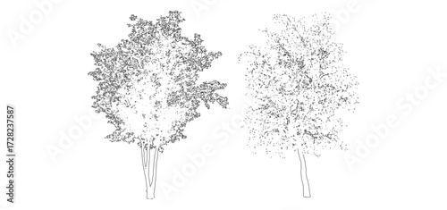 front View Vector Icons of Trees and Plants for Floor Plan and Architectural Design Projects	