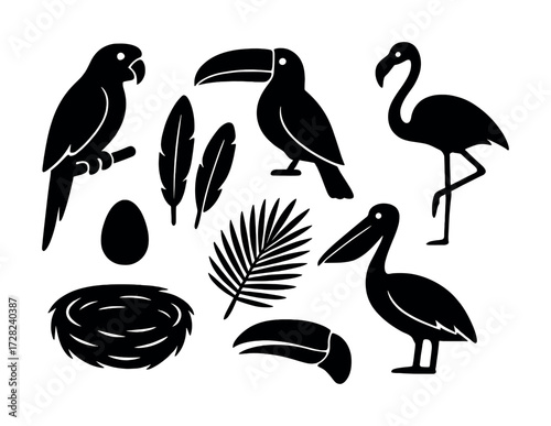 Silhouette of exotic birds and tropical elements: parrot, toucan, flamingo, pelican