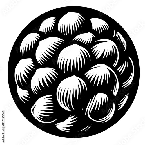 Illustration of a circular arrangement of stylized white shells on a solid black circular background