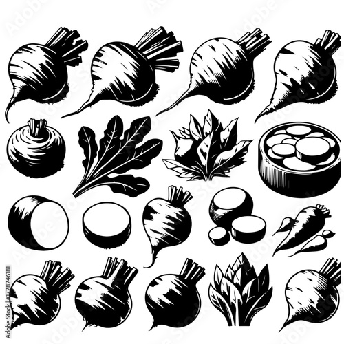 Illustration of various black and white beets with leaves and sliced beets on a white background