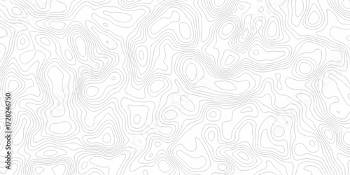 Minimal white line geometric grid outline curve counter map and wavy topography relief discovery area white, black line texture background.	

