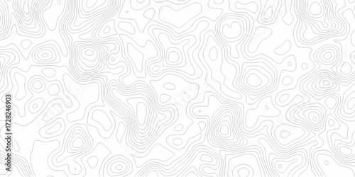 Minimal white line geometric grid outline curve counter map and wavy topography relief discovery area white, black line texture background.	
