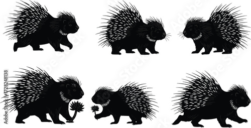 Porcupine silhouettes, walking porcupine, sitting porcupine, spiked back, quilled postures, animal shapes, wildlife illustration, vector graphic, nature design, forest creature