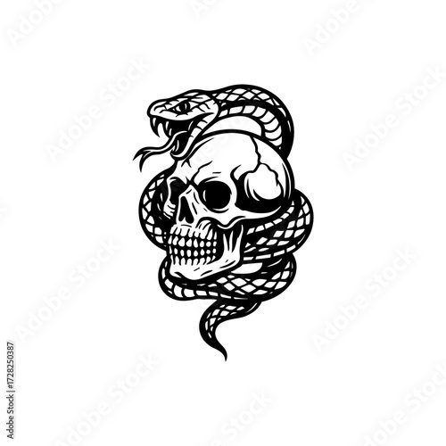 Intricate Skull and Snake Graphic Design