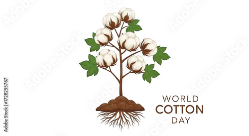 Cotton plant with fluffy bolls and roots for World Cotton Day