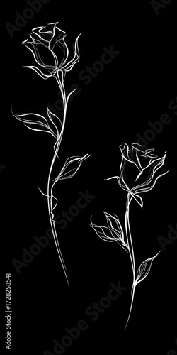 Elegant white line art roses against a striking black backdrop.  Two delicate roses are presented in a sophisticated and stylized manner.