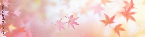 Pink and red maple leaves falling against soft pink background with dreamy bokeh effects in romantic illustration style, featuring pastel colors and gentle floating motion.