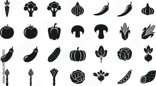 Collection of fresh vegetables, including carrot, broccoli, onion, pepper, tomato, eggplant, cucumber and corn