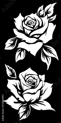Two elegant, stylized roses in bold, black and white line art against a stark black background.
