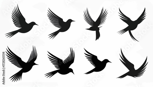 Eight black silhouette illustrations of birds in various stages of flight, wings spread, isolated on a white background.
