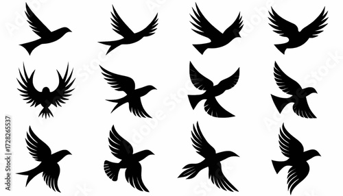 Various black silhouettes of birds in flight, showcasing different wing positions and angles.