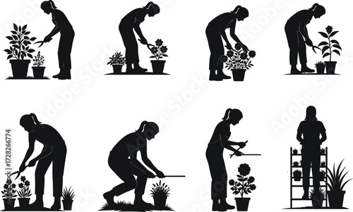 ilhouette gardening, plant care, watering flowers, pruning activity, black figures, horticulture lifestyle, home gardening