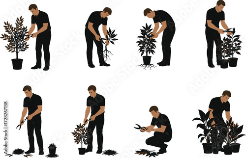 Silhouette gardening, plant care, repotting process, pruning activity, black figures, lifestyle illustration,