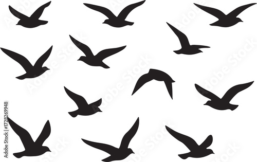 Vector silhouettes of flying birds set illustration
