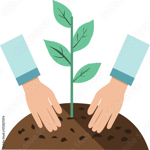 Hands Planting Young Tree.