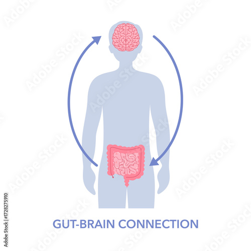 Gut brain connection concept. Signals from brain to digestive tract in male silhouette vector illustration