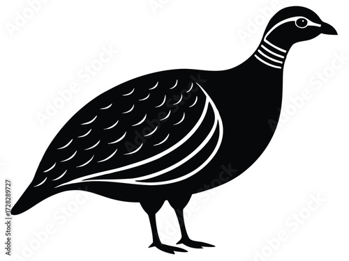 guinea fowl vector icon in bold style on black color and white background.