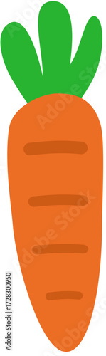 vector illustration of a carrot