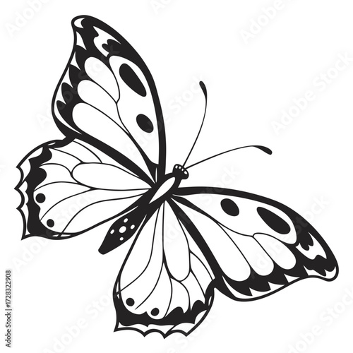 Black and white butterfly vector on white background
