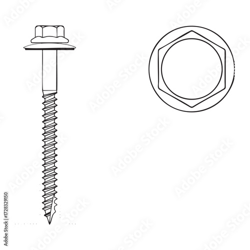 Technical drawings of screw types.
