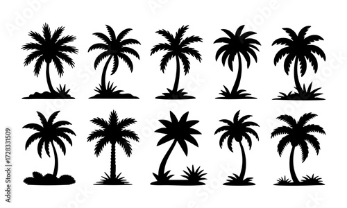 Palm Tree Silhouette Set Minimal Tropical Vector illustration Icons on White, t-shirt design elements, Silhouette tree, easily editable.