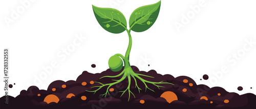 Sprouting Seedling Illustration A Symbol of Growth, Nature, and New Beginnings