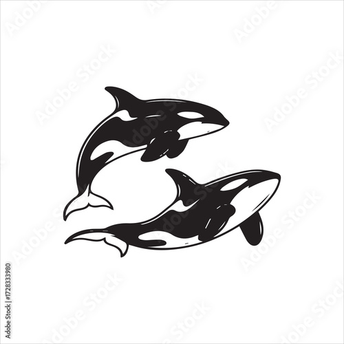 Two orca whales, one above the other, depicted in a black and white sketch style, swimming.
