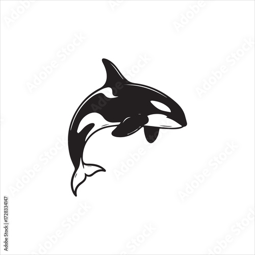 A stylized black and white illustration of a killer whale leaping upwards, showing its markings.