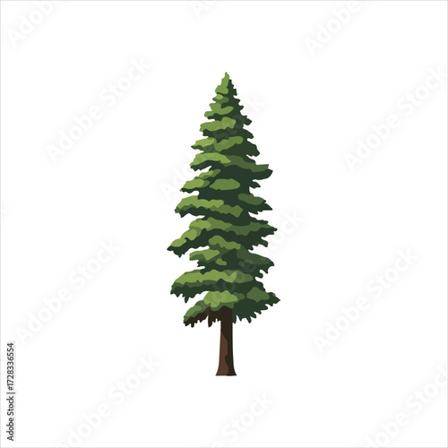Isolated illustration of a tall, green conifer tree with detailed foliage and brown trunk, on a white background.
